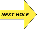         NEXT HOLE